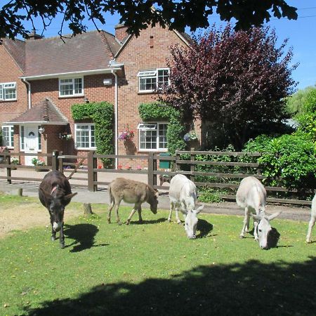 Hops Annex Villa Brockenhurst Buitenkant foto
