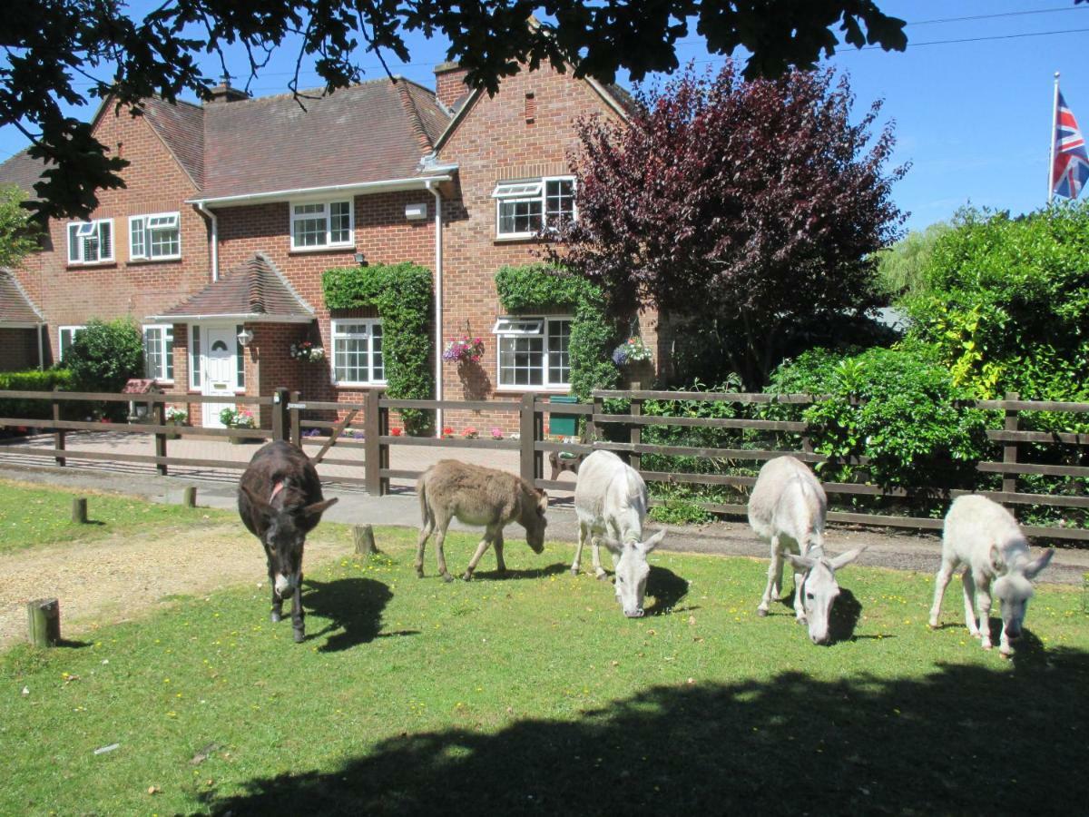 Hops Annex Villa Brockenhurst Buitenkant foto