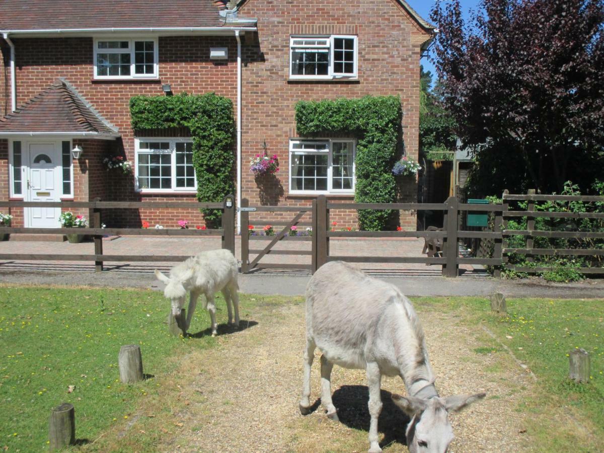 Hops Annex Villa Brockenhurst Buitenkant foto